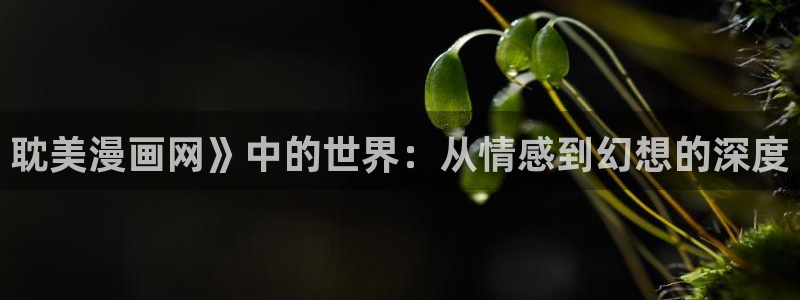 汗汗漫画在线阅读入口