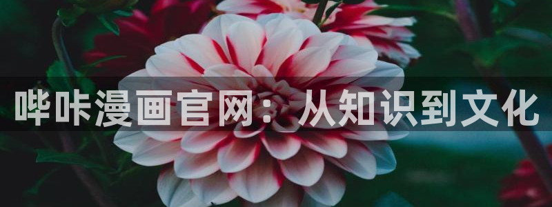 汗汗漫画韩国
