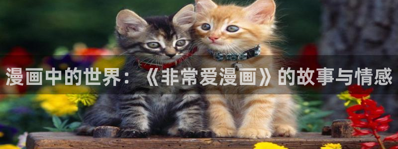 汗汗漫画网sss：漫画中的世界：《非常爱漫画》的故事与情感