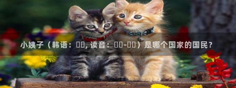 汗汗漫画免费阅读：小姨子（韩语：나무, 读音：나무-소리）是哪个国家的国民？