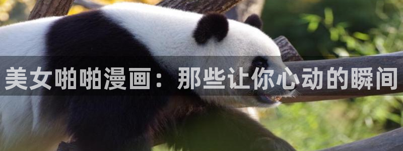 汗汗漫画网：美女啪啪漫画：那些让你心动的瞬间