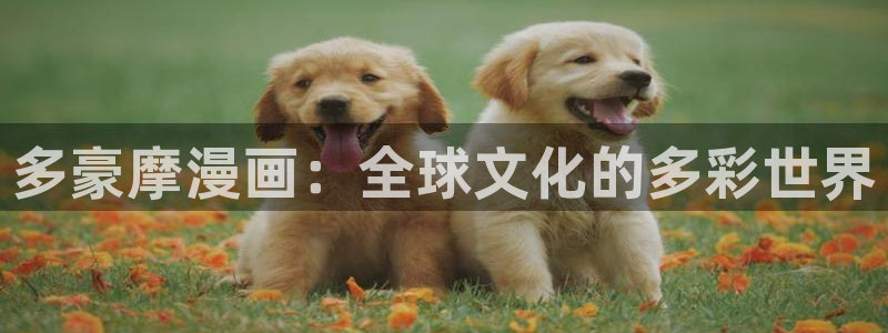 汗汗漫画sss入口：多豪摩漫画：全球文化的多彩世界
