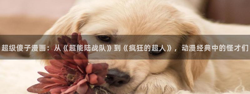 汗汗漫画在线入口：超级傻子漫画：从《超能陆战队》到《疯狂的超人》，动漫经典中的怪才们