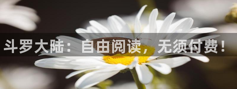 汗汗漫画_歪歪漫画：斗罗大陆：自由阅读，无须付费！