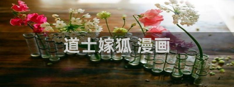www.汗汗漫画com：道士嫁狐 漫画