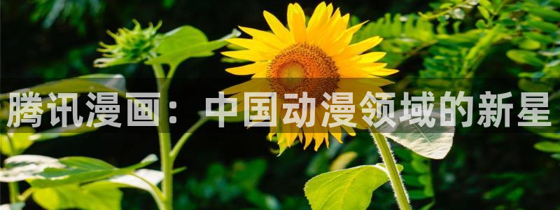 汗汗漫画cc：腾讯漫画：中国动漫领域的新星