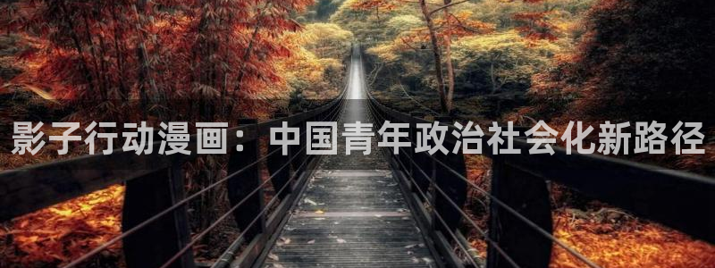 汗汗漫画怎么不见了：影子行动漫画：中国青年政治社会化新路径