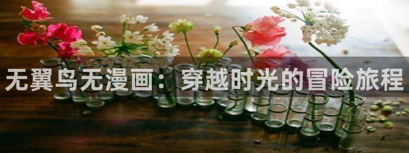 汗汗漫画首页免费：无翼鸟无漫画：穿越时光的冒险旅程