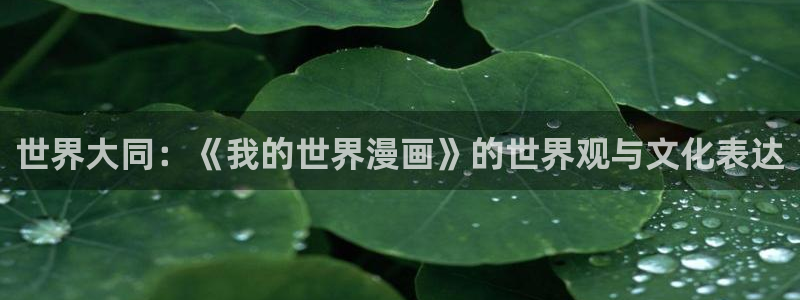 汗汗漫画a：世界大同：《我的世界漫画》的世界观与文化表达