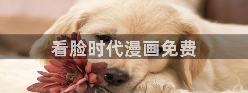 汗汗漫画免费观看入口：看脸时代漫画免费