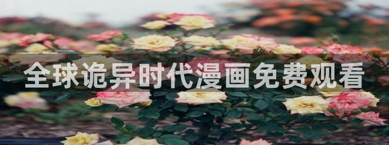 汗汗漫画海贼王：全球诡异时代漫画免费观看