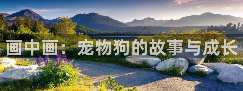 汗汗漫画免费登录页面看漫画下拉式