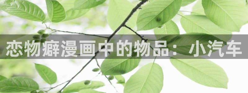 汗汗漫画在线观看免费版完整：恋物癖漫画中的物品：小汽车