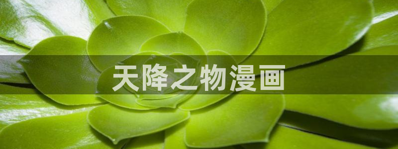 汗汗漫画樱花：天降之物漫画